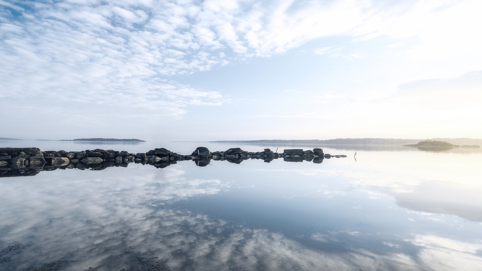 Puutevaba põlvkond on kohal